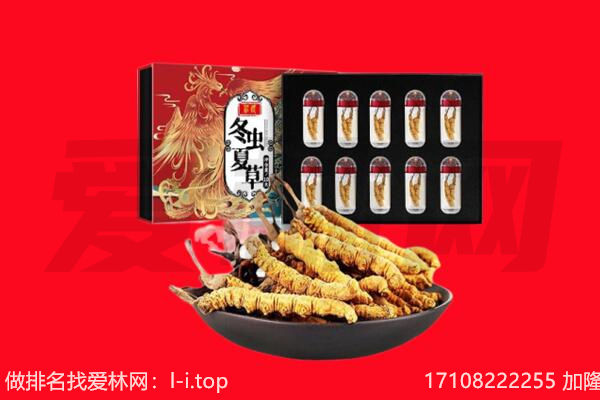 昆明宜良县回收虫草.jpg